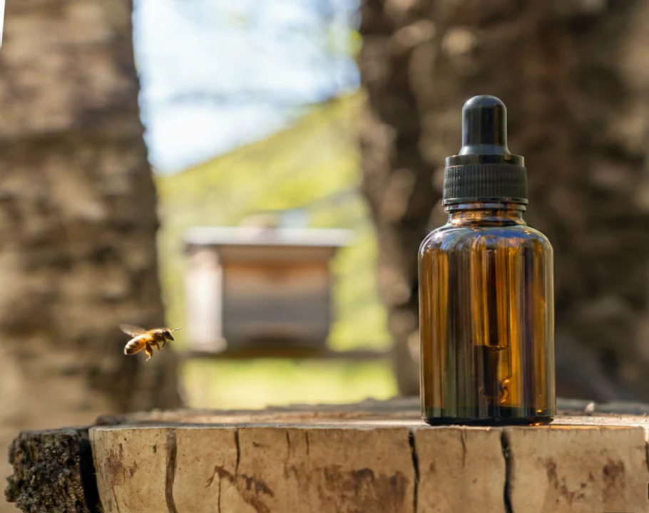 Propolis Hakkında Her Şey
