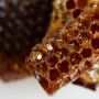 What Is Black Hive Honey and Why Is It So Valuable