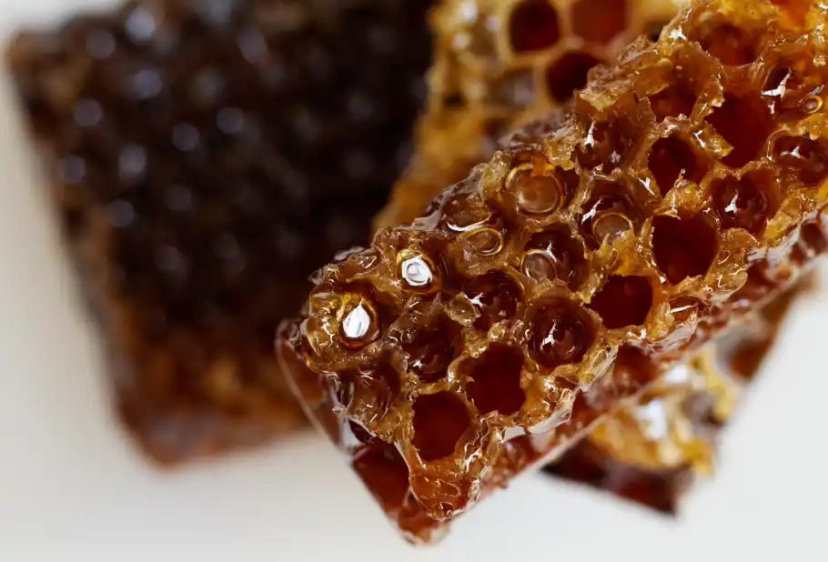 What Is Black Hive Honey and Why Is It So Valuable